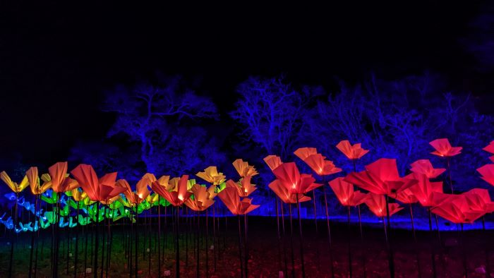 A flower installation at Blenheim Palace