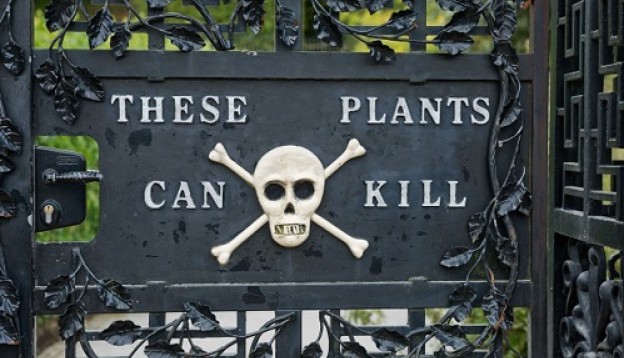 alnwick-poison-garden