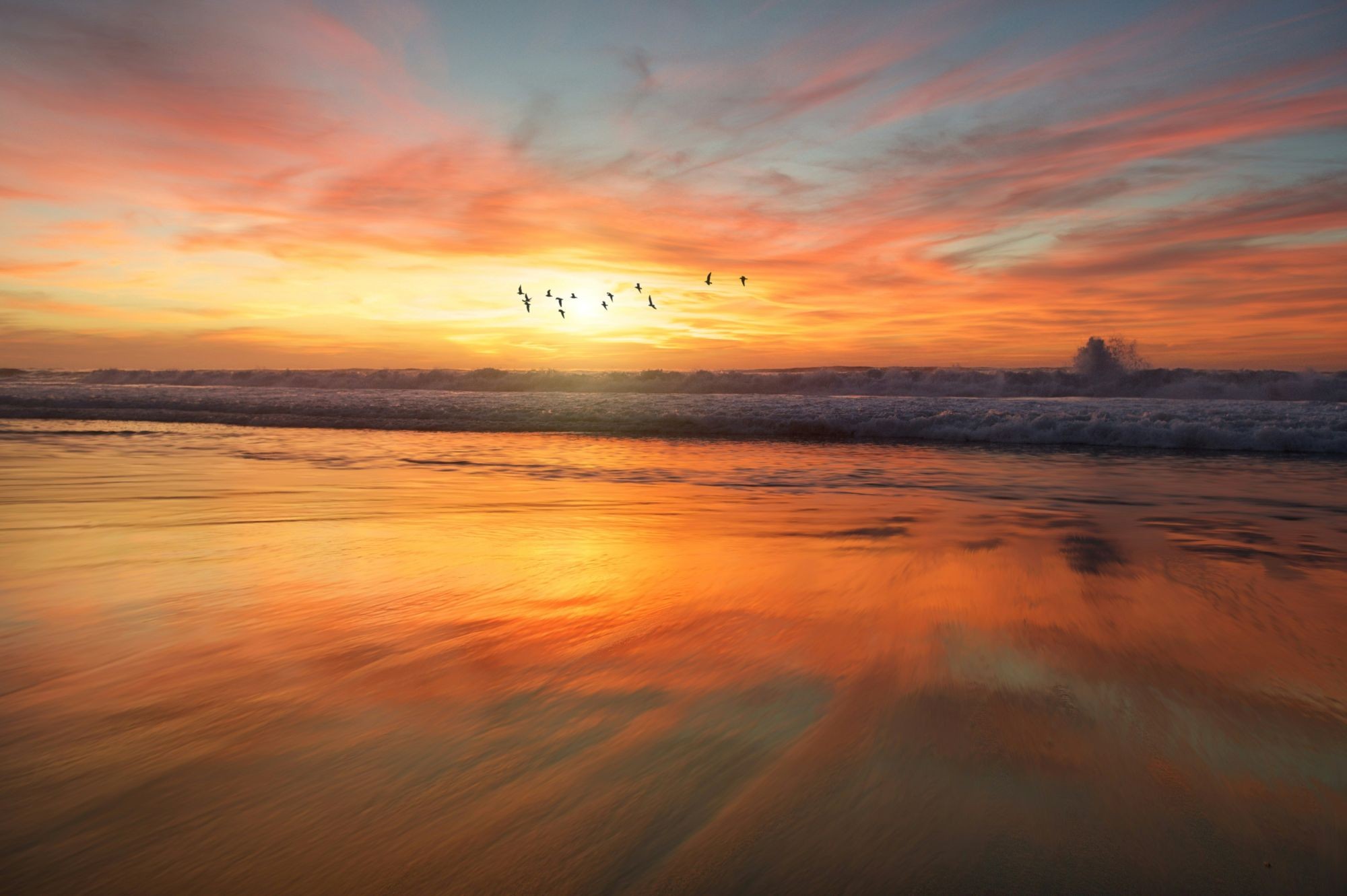 Sunset on a beach with a flock of birds flying overhead.