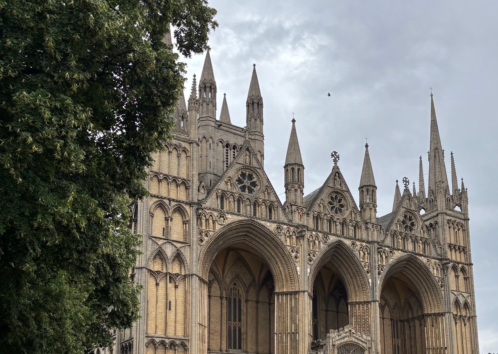 Peterborough cathedral