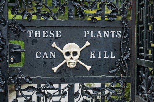 alnwick-poison-garden