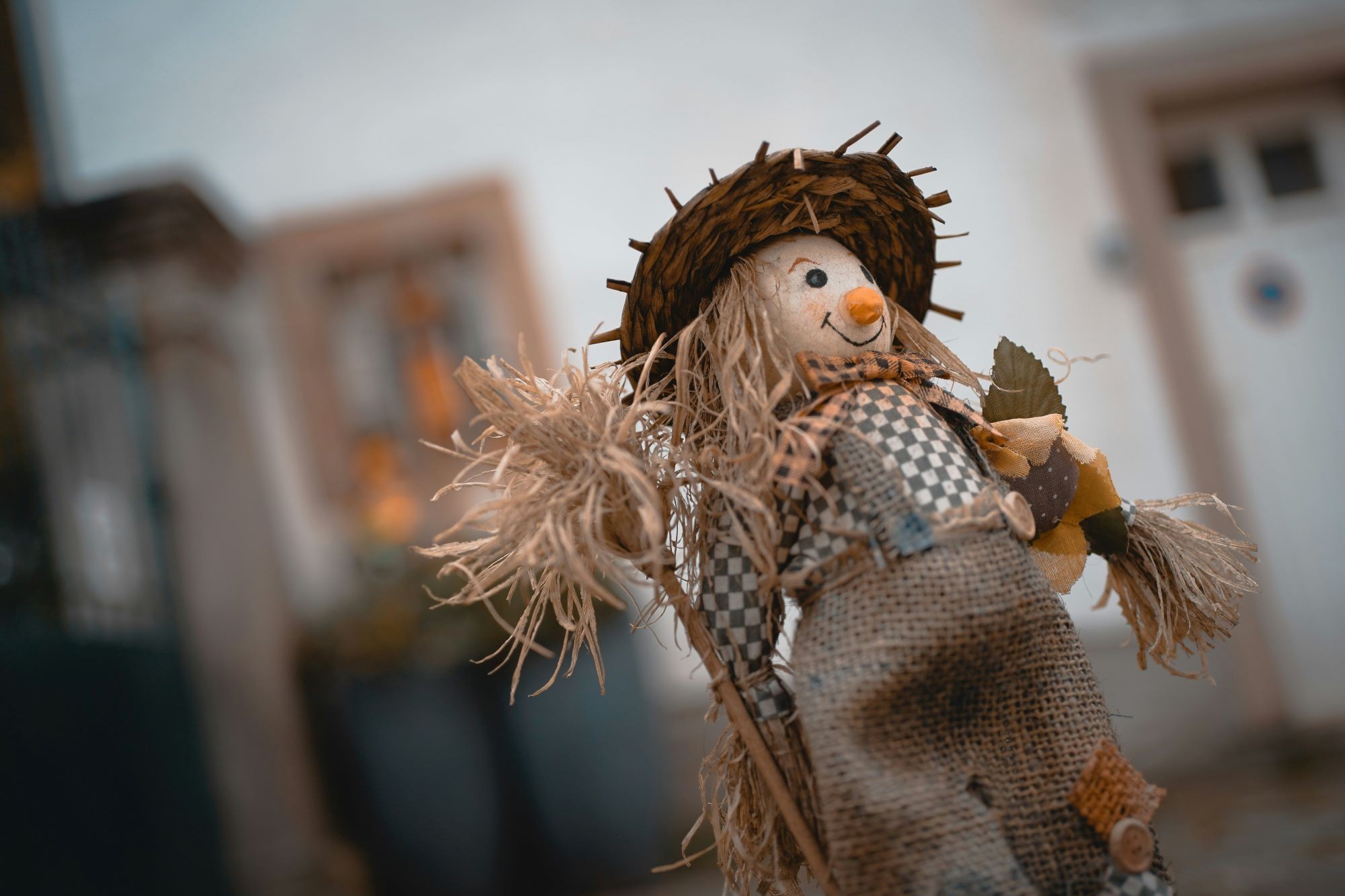 Scarecrow Michel Stockman