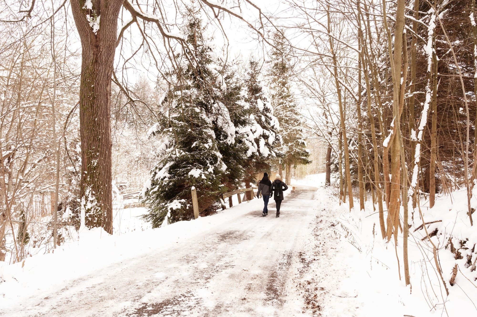 Winter-Walk-Elke-Karin-Lugert-2000