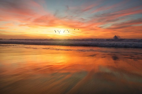 Sunset on a beach with a flock of birds flying overhead.