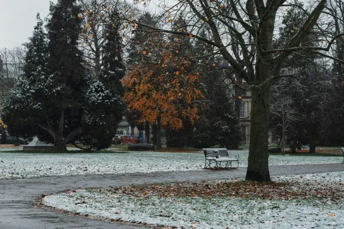 A park in Cheltenham on a snowy day.