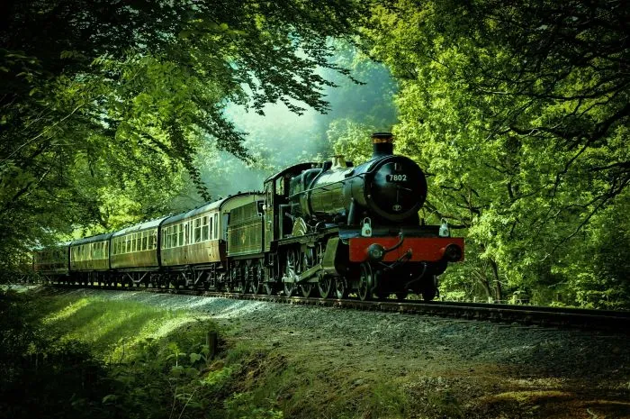 Steam train on the Severn Valley Railway surrounded by trees.